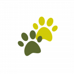 Cuidado natural para tu mascota-Anlolive